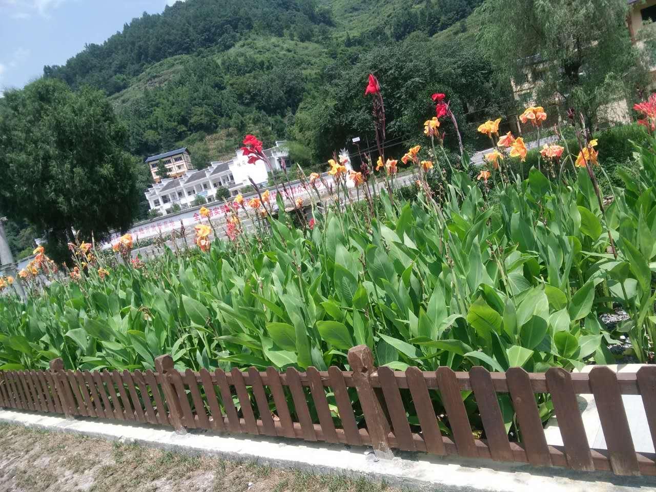 公平村郑家湾